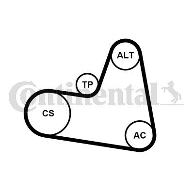 CONTINENTAL CTAM, Jeu de courroies trapézoïdales à nervures