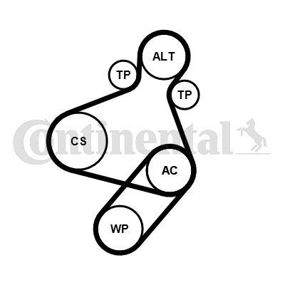 CONTINENTAL CTAM, Jeu de courroies trapézoïdales à nervures