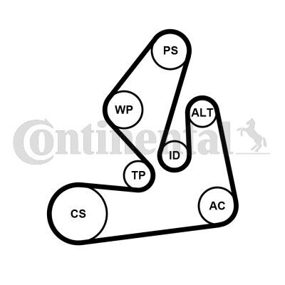 CONTINENTAL CTAM, Pompe à eau+Jeu de courroie trapézoïdale à nervures