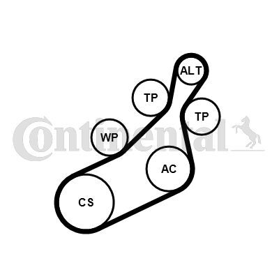 CONTINENTAL CTAM, Jeu de courroies trapézoïdales à nervures