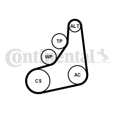 CONTINENTAL CTAM, Jeu de courroies trapézoïdales à nervures