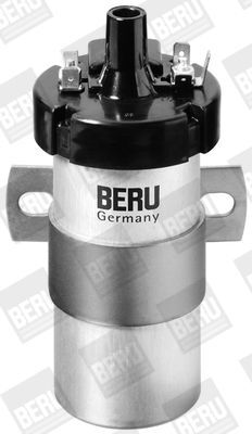 BorgWarner (BERU), Bobine d'allumage