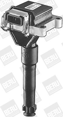 BorgWarner (BERU), Bobine d'allumage