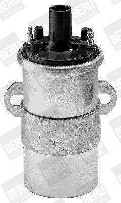 BorgWarner (BERU), Bobine d'allumage