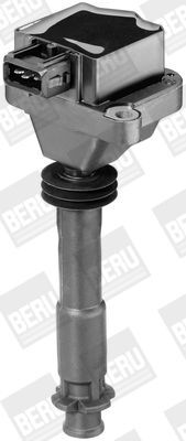 BorgWarner (BERU), Bobine d'allumage