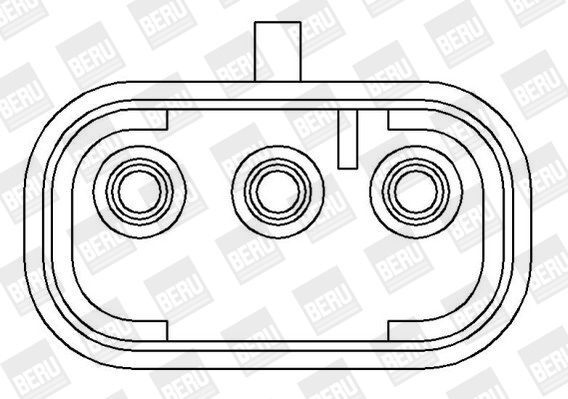 BorgWarner (BERU), Bobine d'allumage