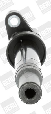 BorgWarner (BERU), Bobine d'allumage