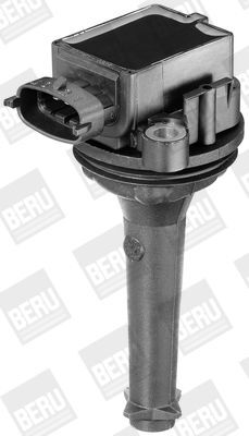 BorgWarner (BERU), Bobine d'allumage