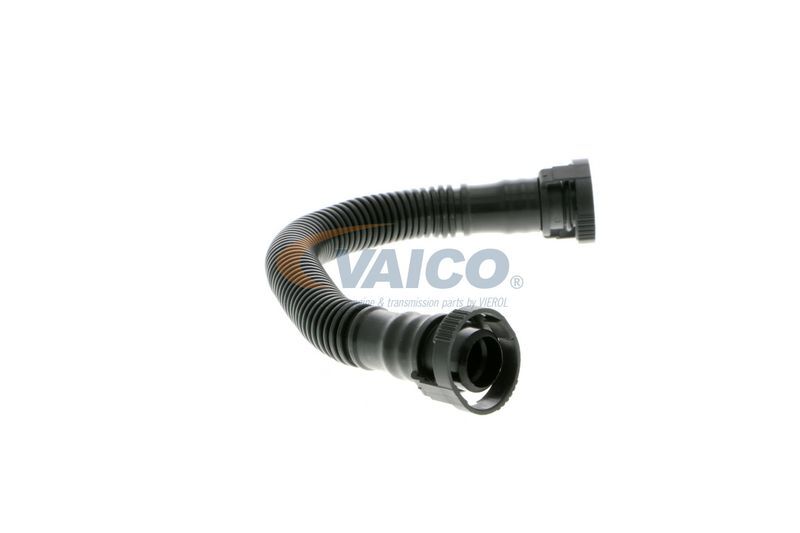 VAICO, Tuyau, ventilation de carter-moteur