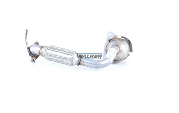 WALKER, Catalyseur