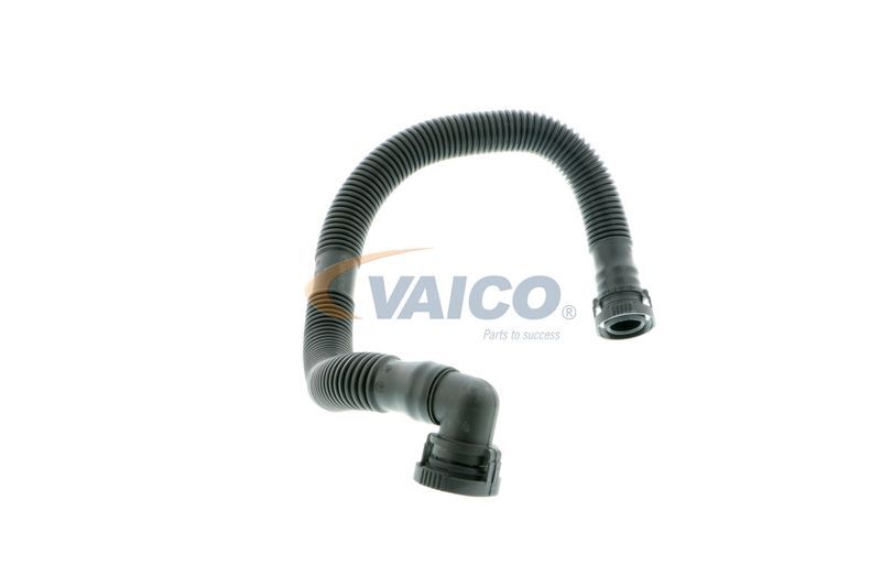 VAICO, Tuyau, ventilation de carter-moteur