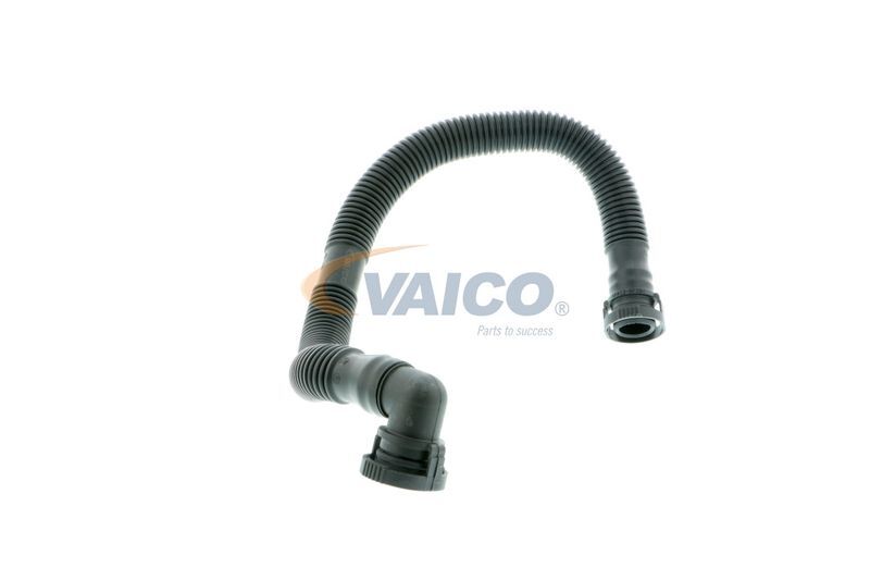 VAICO, Tuyau, ventilation de carter-moteur