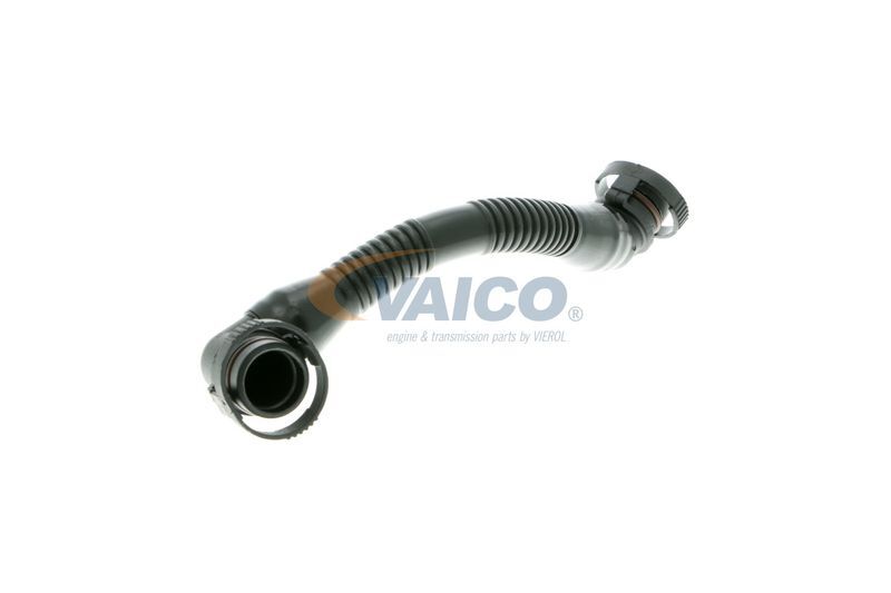 VAICO, Tuyau, ventilation de carter-moteur