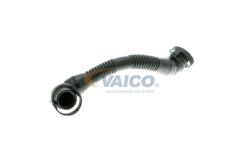 VAICO, Tuyau, ventilation de carter-moteur