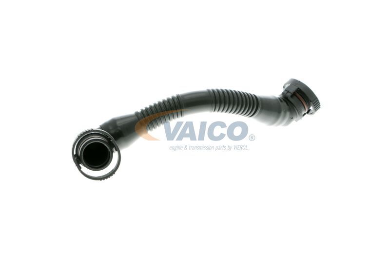 VAICO, Tuyau, ventilation de carter-moteur