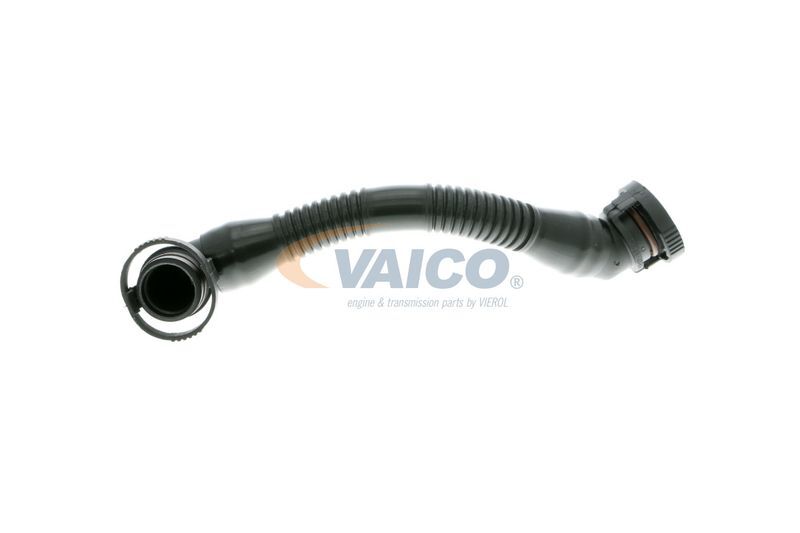 VAICO, Tuyau, ventilation de carter-moteur