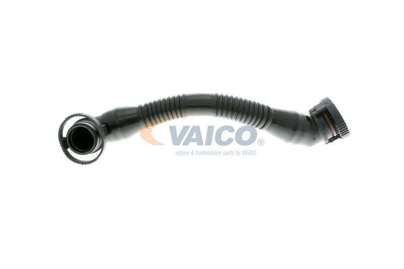 VAICO, Tuyau, ventilation de carter-moteur