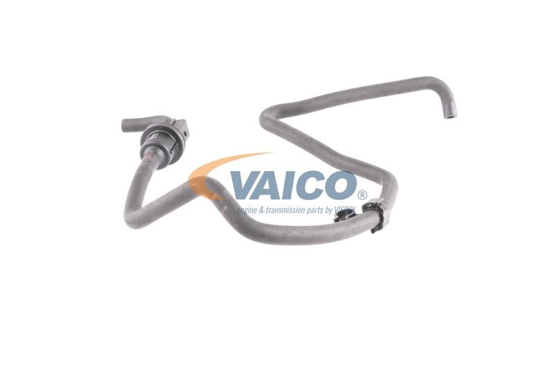 VAICO, Tuyau, ventilation de carter-moteur