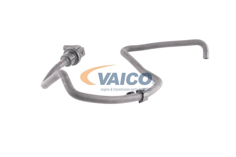 VAICO, Tuyau, ventilation de carter-moteur