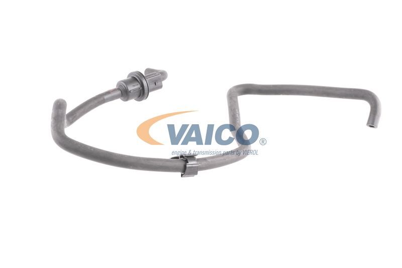 VAICO, Tuyau, ventilation de carter-moteur