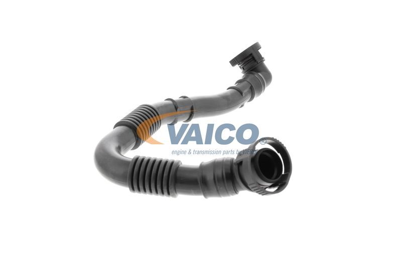 VAICO, Tuyau, ventilation de carter-moteur