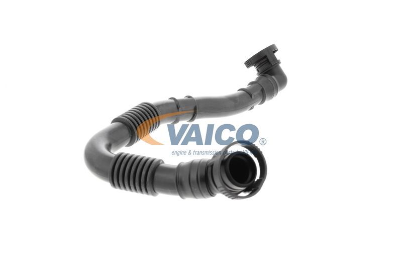 VAICO, Tuyau, ventilation de carter-moteur