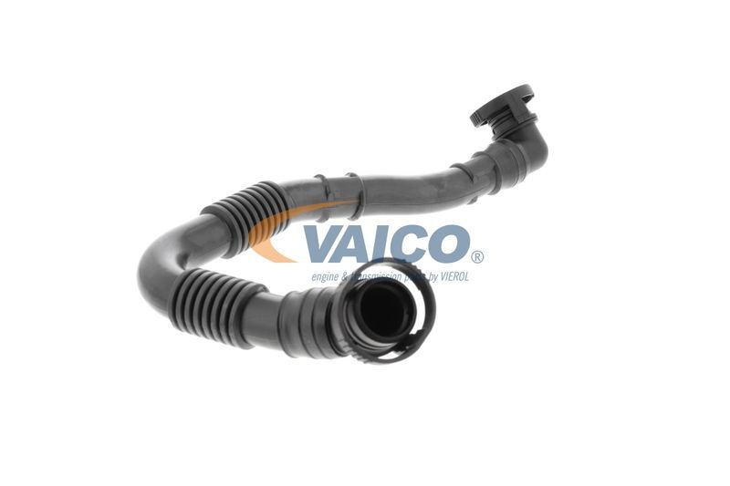 VAICO, Tuyau, ventilation de carter-moteur