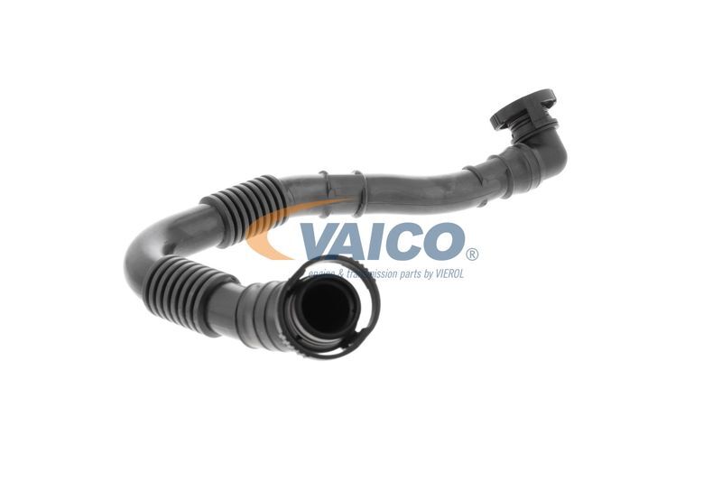 VAICO, Tuyau, ventilation de carter-moteur