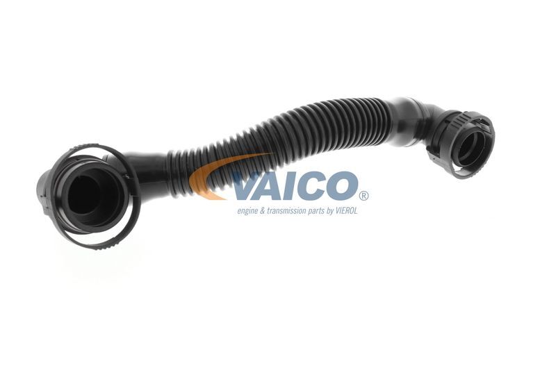 VAICO, Tuyau, ventilation de carter-moteur