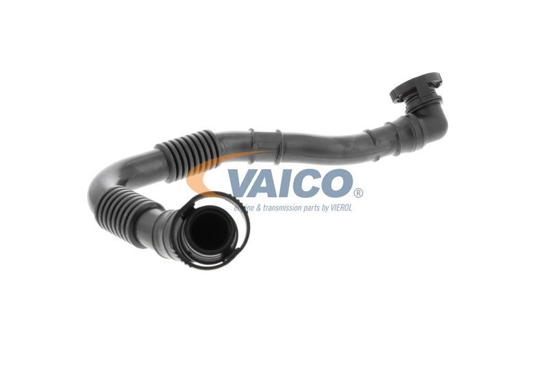 VAICO, Tuyau, ventilation de carter-moteur