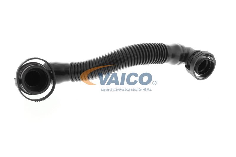 VAICO, Tuyau, ventilation de carter-moteur