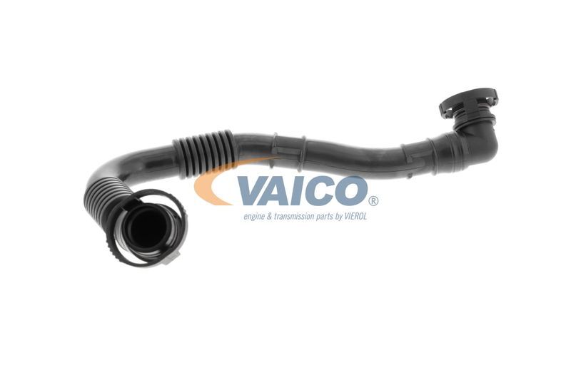 VAICO, Tuyau, ventilation de carter-moteur