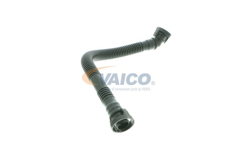 VAICO, Tuyau, ventilation de carter-moteur