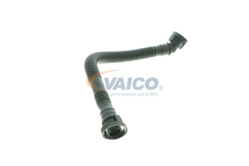 VAICO, Tuyau, ventilation de carter-moteur