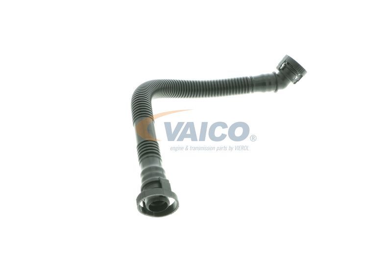 VAICO, Tuyau, ventilation de carter-moteur