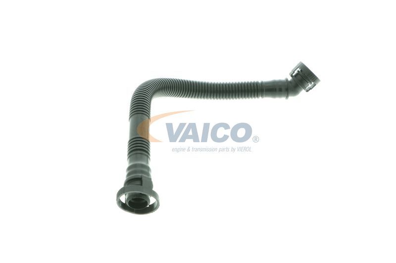 VAICO, Tuyau, ventilation de carter-moteur