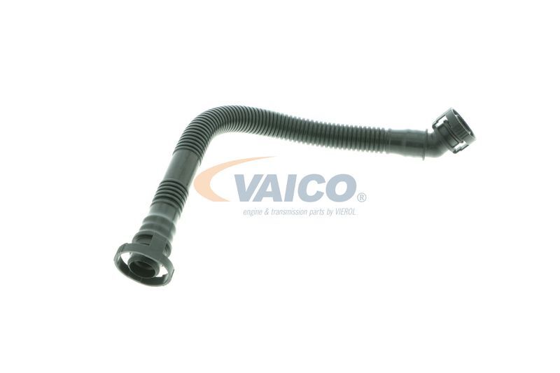 VAICO, Tuyau, ventilation de carter-moteur