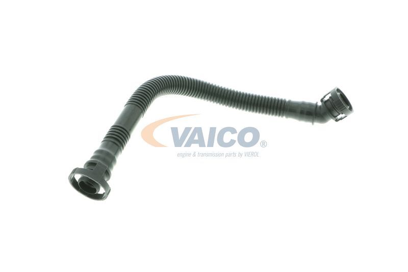 VAICO, Tuyau, ventilation de carter-moteur