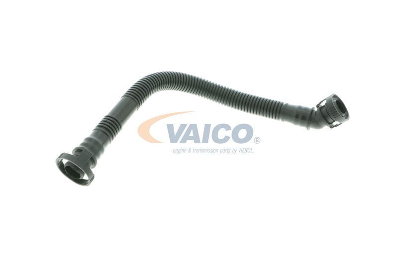 VAICO, Tuyau, ventilation de carter-moteur