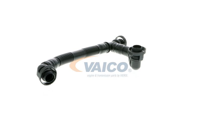 VAICO, Tuyau, ventilation de carter-moteur