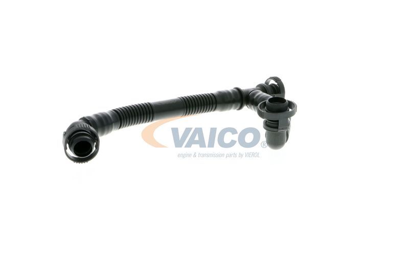 VAICO, Tuyau, ventilation de carter-moteur