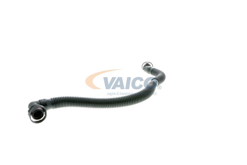 VAICO, Tuyau, ventilation de carter-moteur