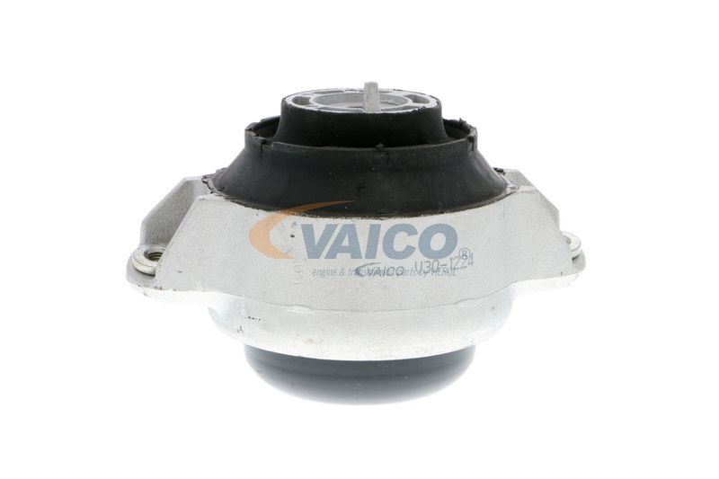 VAICO, Support moteur