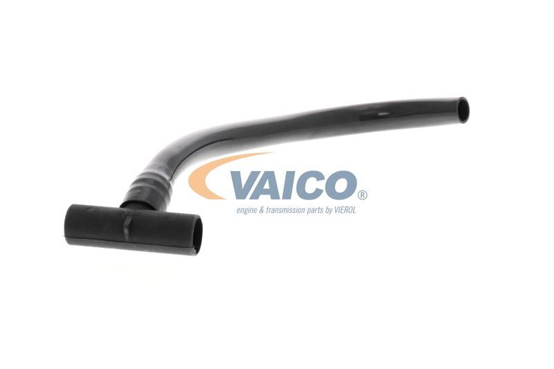 VAICO, Tuyau, ventilation de carter-moteur