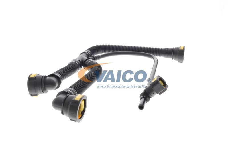 VAICO, Tuyau, ventilation de carter-moteur