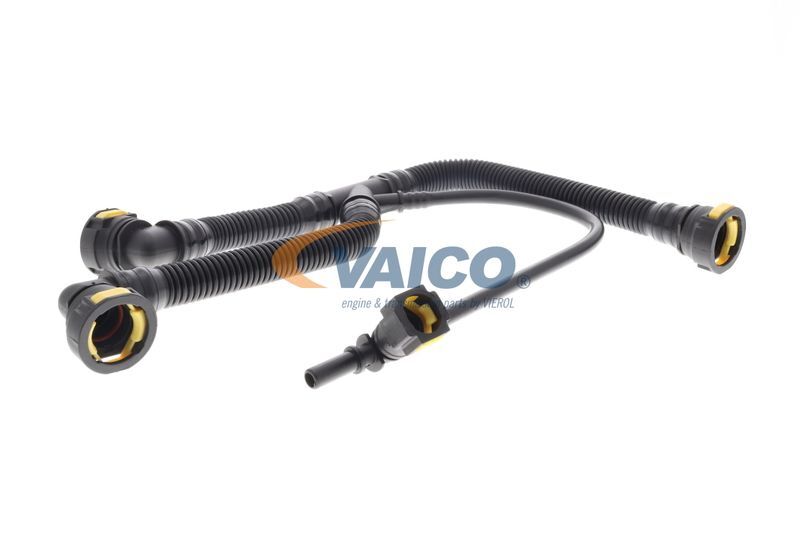 VAICO, Tuyau, ventilation de carter-moteur