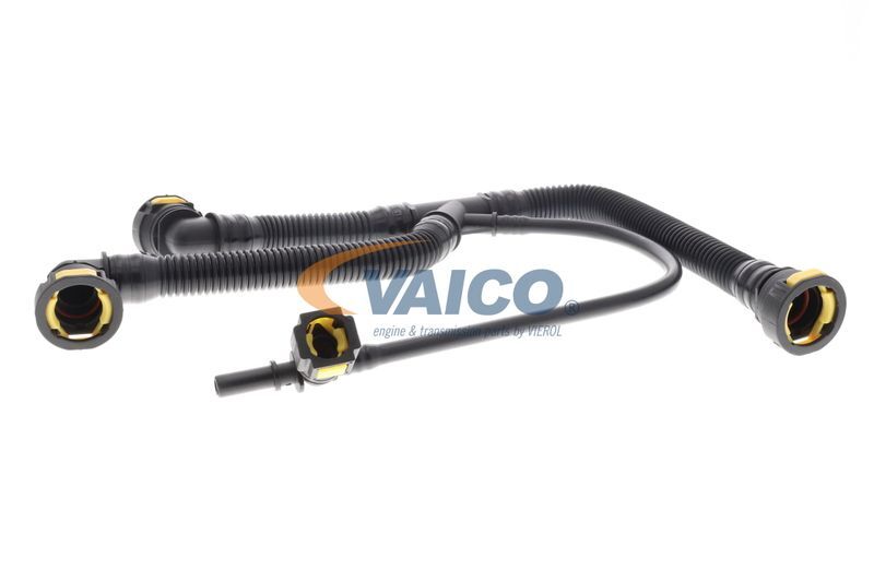 VAICO, Tuyau, ventilation de carter-moteur