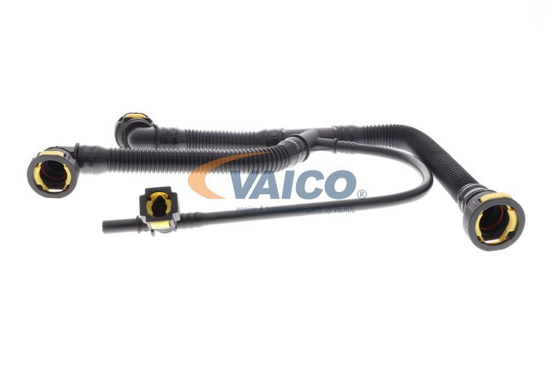 VAICO, Tuyau, ventilation de carter-moteur