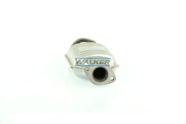 WALKER, Catalyseur