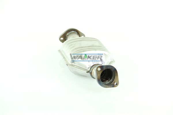 WALKER, Catalyseur